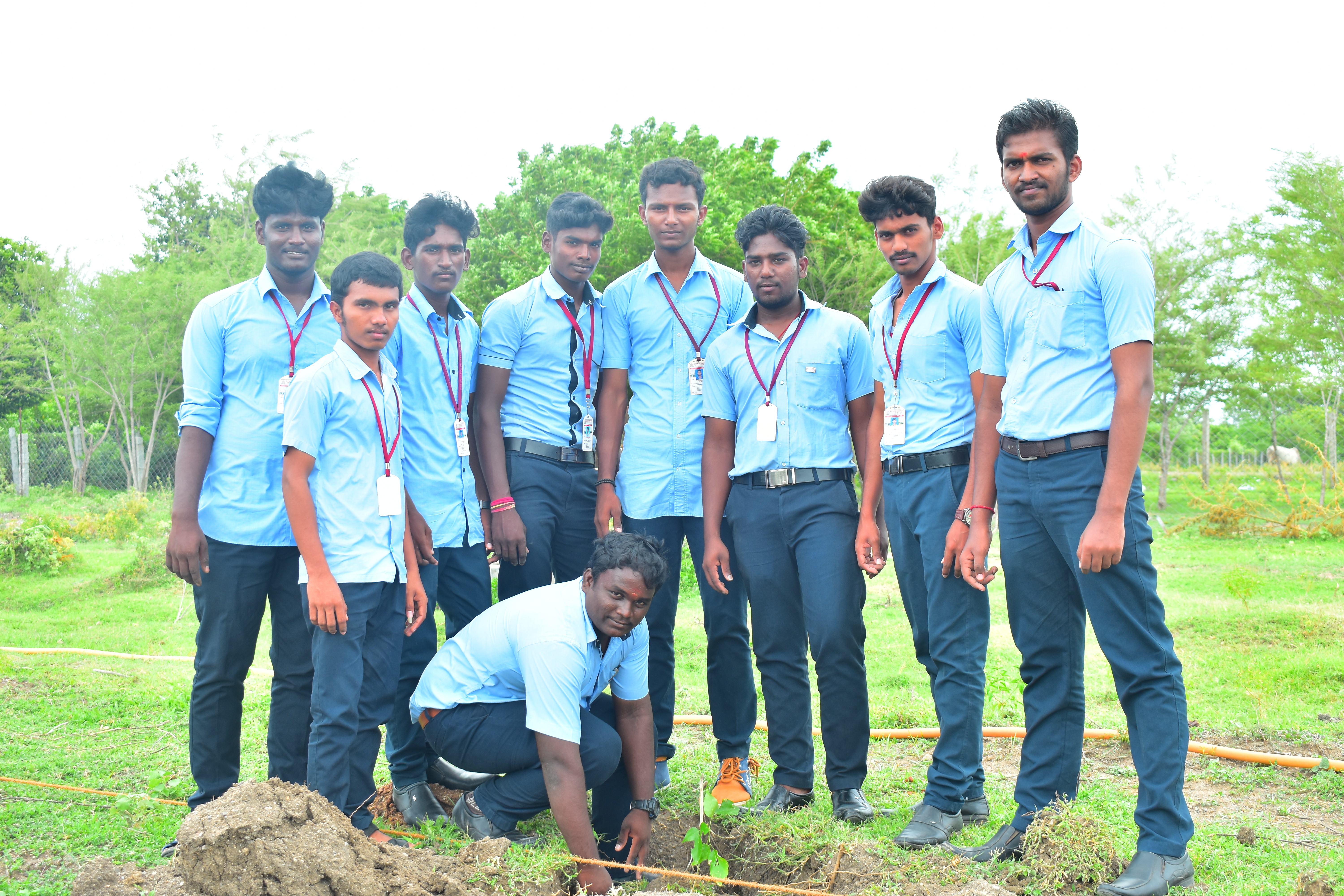 Tree plantation Drive